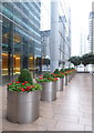 TQ3780 : Planters outside an office building in Upper Bank Street, Canary Wharf by Rod Allday