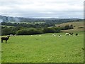 North Bovey in its valley