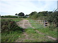 Field entrance near Tindale Hill