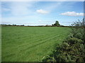 NY1649 : Grassland near Kingmoor by JThomas