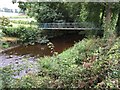 Footbridge over the Rhiw