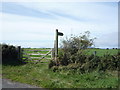 Footpath near Wolsty Farm