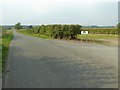 Road passing woodland burial site