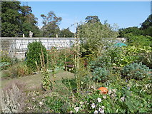 TR3068 : The Victorian Walled Garden at Quex Park by Marathon