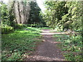 Public footpath up from Quarryheads Lane, Durham