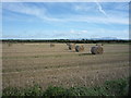 Stubble field and bales 