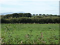 Farmland west of Holme St Cuthbert