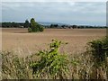 Farmland on Kennel Bank