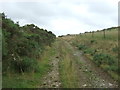 Farm track near Sibmister