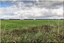 W4769 : Fields north of minor road by David P Howard