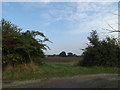 Footpath off Long Lane