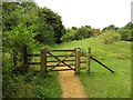 Gate on the footpath