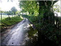 H5572 : A muddy road, Bracky by Kenneth  Allen