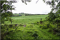 W4670 : Fields south of minor lane by David P Howard