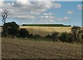 SE4209 : Covered reservoir on Ringstone Hill by Neil Theasby