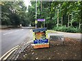 SJ8546 : Newcastle-under-Lyme: entrance to Brampton Park by Jonathan Hutchins