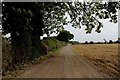 Access Lane from Wilstrop Lodge Farm