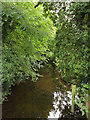 TL9468 : The Black Bourn River off Baileypool Bridge by Geographer