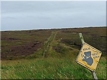 NB5458 : Moorland track, Cuidhsiadar, Isle of Lewis by Claire Pegrum