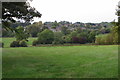 Pasture by the footpath into Westbury