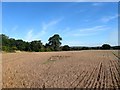 Five Acres/Barn Field