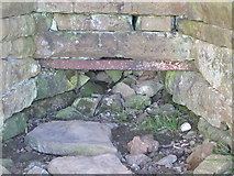 NY7540 : Old lime kiln north of Ashgill Bridge - draw hole by Mike Quinn
