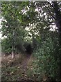 Footpath from Newhaven Road to Stoughton Road