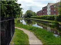 SK7080 : Towpath of the Chesterfield Canal in Retford by Mat Fascione