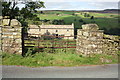 Gateway to field of Bushes House