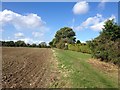 Towards Wavendon