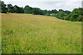 ST7370 : Meadow on the side of Lansdown Hill by Bill Boaden
