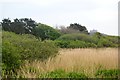 Marazion Marshes