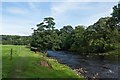 On the Dales Way, near Addingham