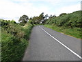 J1707 : Bend in the Omeath back-road by Eric Jones