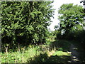 The Grantham canal at Spencer