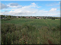 View north from Roker Lane