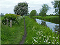 Chesterfield Canal towards Clarborough