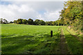 R8387 : Farm track west of R493 by David P Howard
