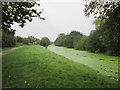 Walking  the  Selby  Canal  toward  Selby