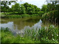 Winding hole along the Chesterfield Canal