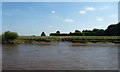 SE6630 : Tidal mud, east bank, River Ouse by Christine Johnstone