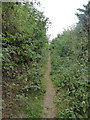 Bridleway running between Pump Lane and Bloors Lane, Rainham