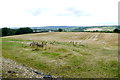 Large Field at the Old Lodge