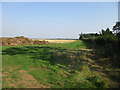 Behind the hedge near Heath Farm