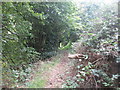 Footpath towards the railway tunnel at Hemingfield