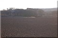 Ploughed fields near Hawick