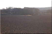 NT5116 : Ploughed fields near Hawick by Richard Webb