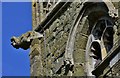 West Ashby, All Saints Church: Gargoyle on c15th west tower