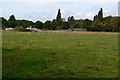 View across field on edge of Wraysbury