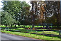 Play area on the green at Wraysbury